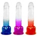 Pênis Color Jelly 20,5 X 4cm Com Ventosa Youvibe Vipmix