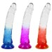 Pênis Color Jelly 20,5 X 4cm Ventosa Youvibe Vipmix