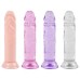 Pênis Real Jelly 14,8 X 3cm Ventosa Youvibe Vipmix